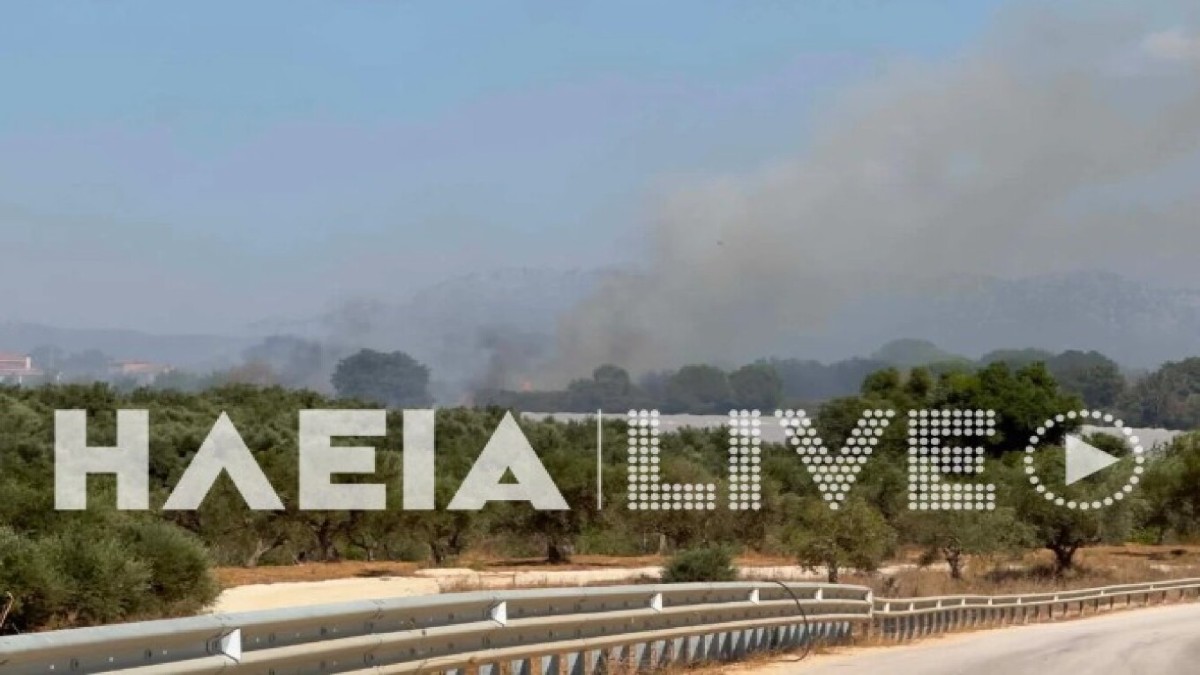 Φωτιά τώρα στην Ηλεία: Δύο μέτωπα σε Γαστούνη και Κοττέικα – Στη μάχη 6 αεροσκάφη και 2 ελικόπτερα