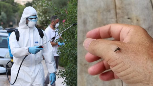Ιός του Δυτικού Νείλου: Κόκκινος συναγερμός στην Αττική για την αύξηση των κρουσμάτων – Η λίστα με τις περιοχές και οι επιπλοκές του ιού