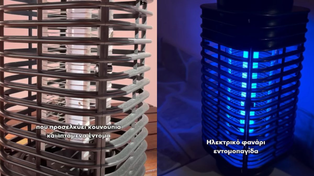 Καλοκαίρι χωρίς ανεπιθύμητους επισκέπτες: 2 πρακτικές λύσεις από Jumbo