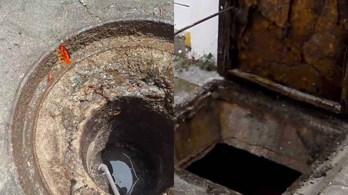 Άνοιξε φρεάτιο που είχε να ανοιχτεί 1 χρόνο – Αν φοβάσαι τις κατσαρίδες δεν θες να δεις την συνέχεια