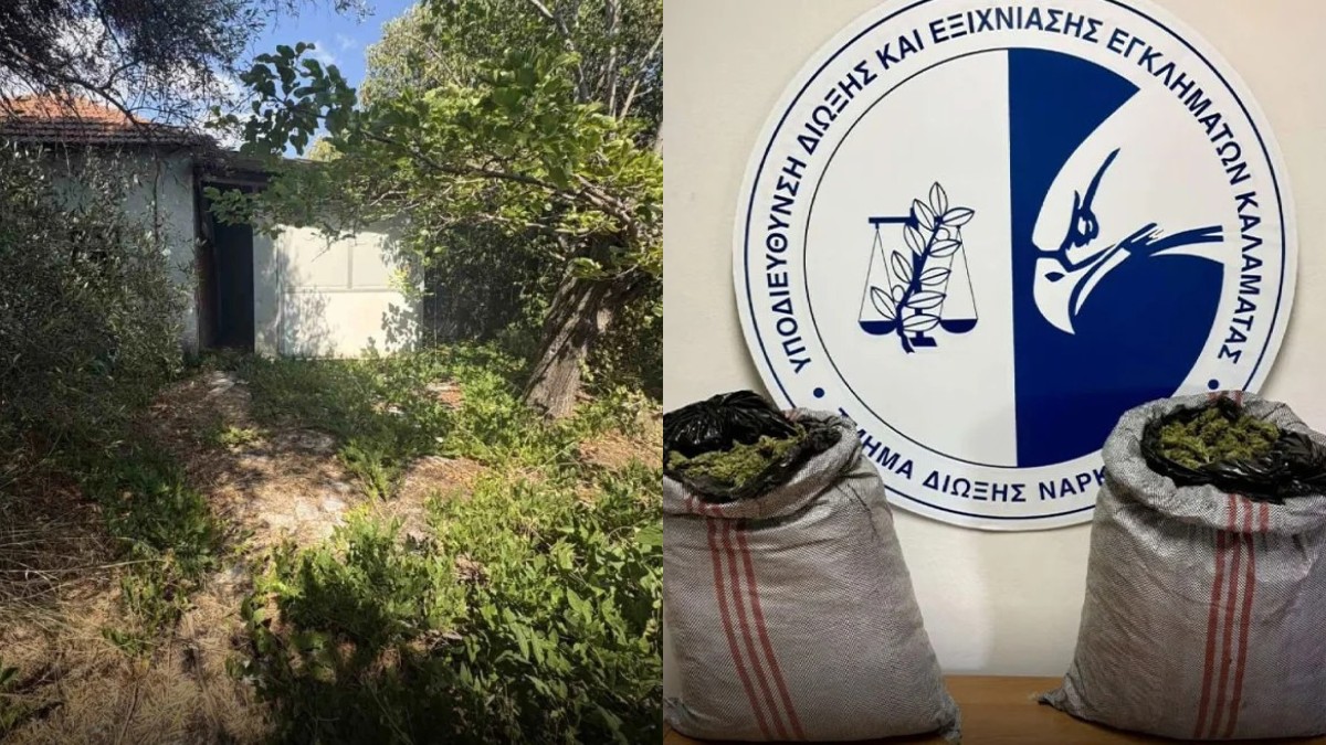 Εξαρθρώθηκε εγκληματική οργάνωση που διακινούσε κάνναβη στη Μεσσηνία – Πάνω από 10 κιλά κατασχέθηκαν