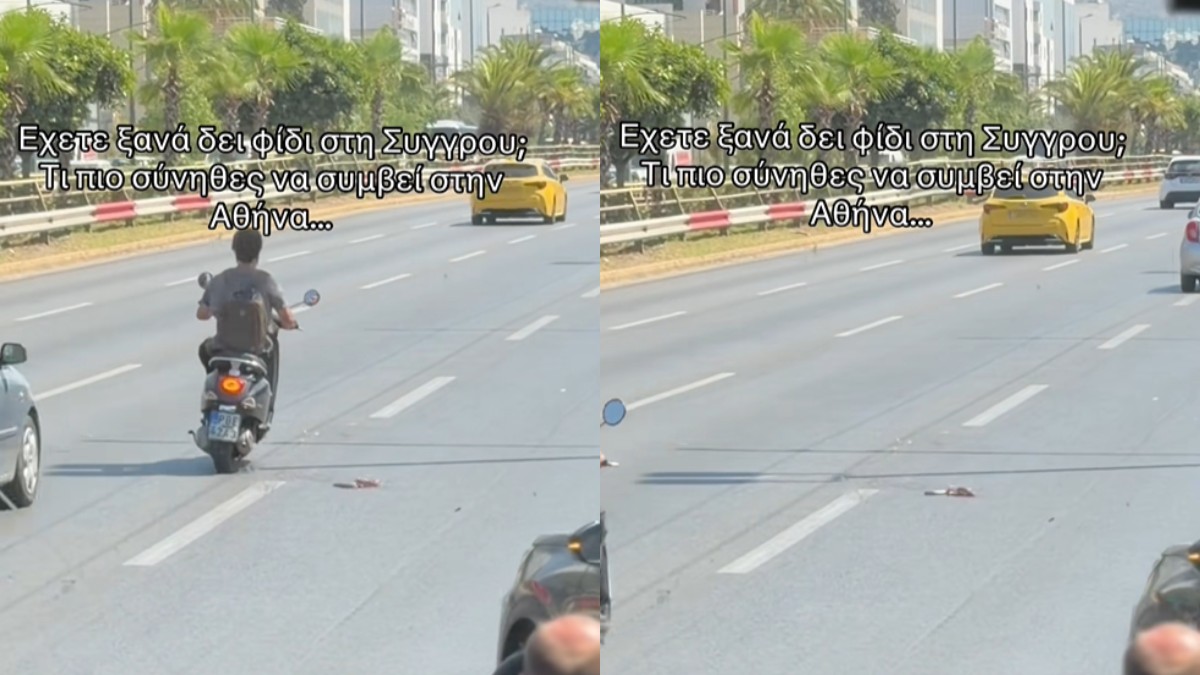Απίστευτη εικόνα: Φίδι κυκλοφορεί στη μέση της Λεωφόρου Συγγρού στο κέντρο της Αθήνας