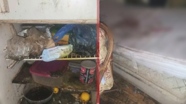 Σοκ στην Καλλιθέα: Ιδιοκτήτρια μπήκε στο διαμέρισμά της έπειτα από 6 χρόνια που το νοίκιαζε – Δείτε πως το άφησαν οι ενοικιαστές [βίντεο]