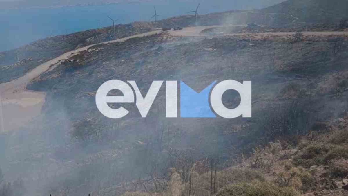 Συναγερμός στην Εύβοια: Φωτιά σε χαμηλή βλάστηση στο Κόμητο Καρύστου