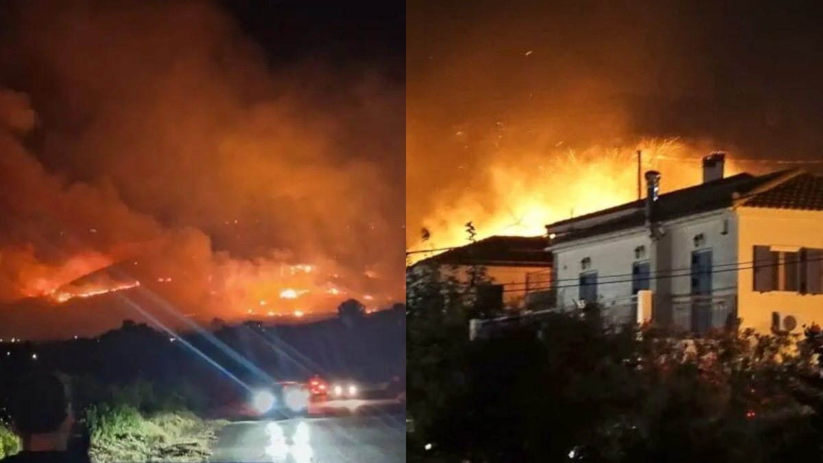 Οργή: 44χρονος έβαλε φωτιά στο δάσος στην Κεφαλονιά – Δεν είναι άγνωστος στις αρχές