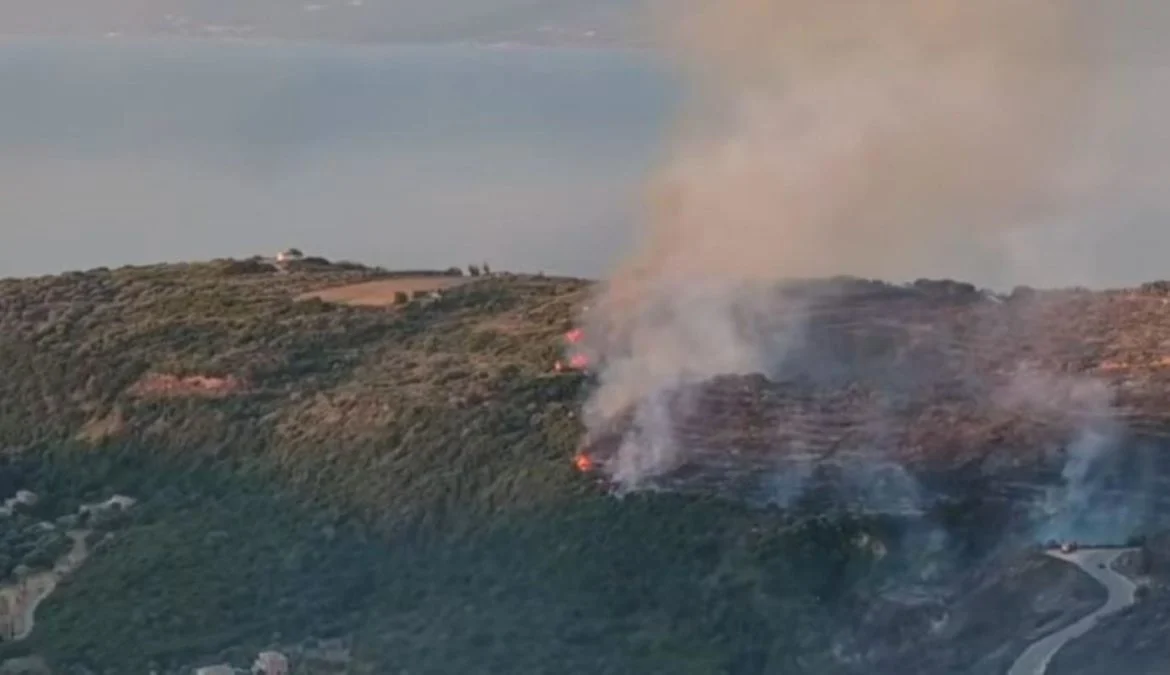 Τεράστια περιβαλλοντική καταστροφή και ανυπολόγιστες ζημιές στη φύση προκάλεσαν οι καταστροφικές πυρκαγιές που εκδηλώθηκαν στην περιοχή Πάστρα της Κεφαλονιάς