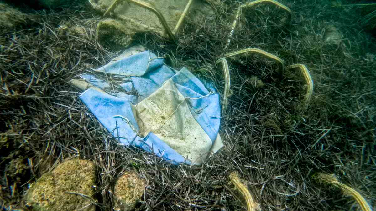 Εικόνες ντροπής στην Κέρκυρα – Ξαπλώστρες και απορρίμματα στον βυθό της Ημερολιάς