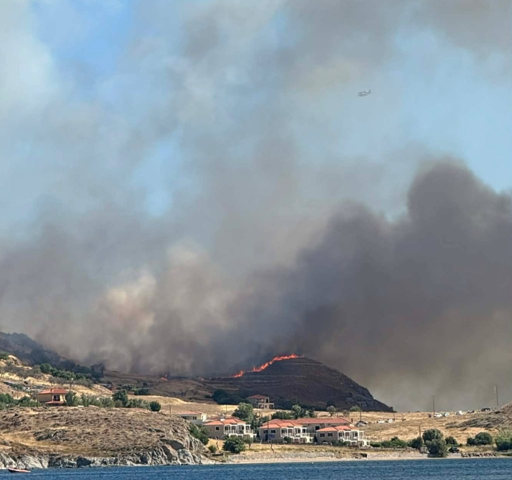 Χωρίς ενεργό μέτωπο παρέμενε η φωτιά στην περιοχή Θάνος, με τους πυροσβέστες να επιχειρούν σε διάσπαρτες εστίες και σημεία όπου συνέχιζε να υπάρχει καπνός.
