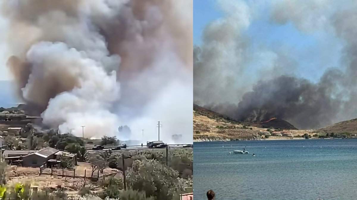 Πυρκαγιά στη Λήμνο: Στα επείγοντα ένας πυροσβέστης – «Είμαστε ικανοί να κάψουμε και τα γυμνά βουνά»