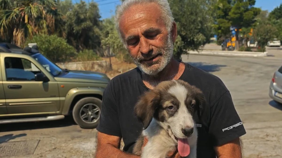Μπρούνο: Το κουτάβι που γλίτωσε από τη φωτιά στο Πόρτο Γερμενό – «Χτυπά ακόμα γρήγορα η καρδιά του»
