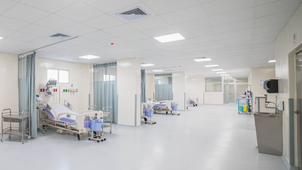 Θεσσαλονίκη: Εξιτήριο για το 4χρονο κορίτσι μετά την επίθεση άγριου ζώου – Εξετάζεται αν ήταν τσακάλι