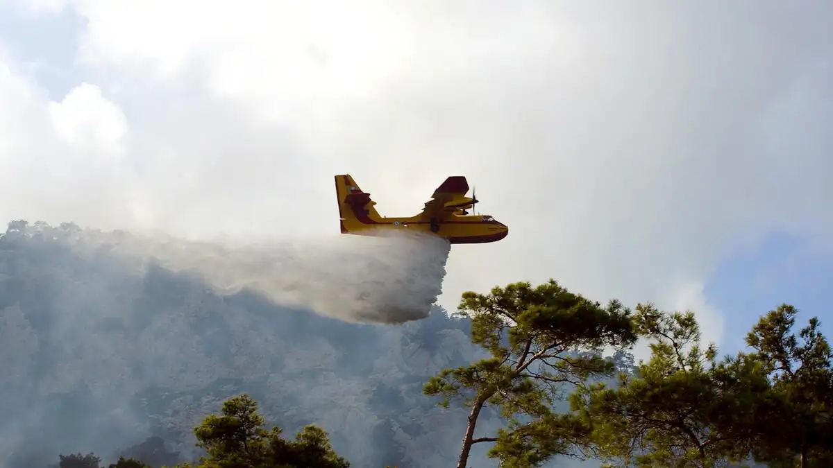Τροιζήνα: Συνελήφθη 40χρονος για εμπρησμό από πρόθεση – Εξετάζεται η εμπλοκή του σε άλλες 9 φωτιές