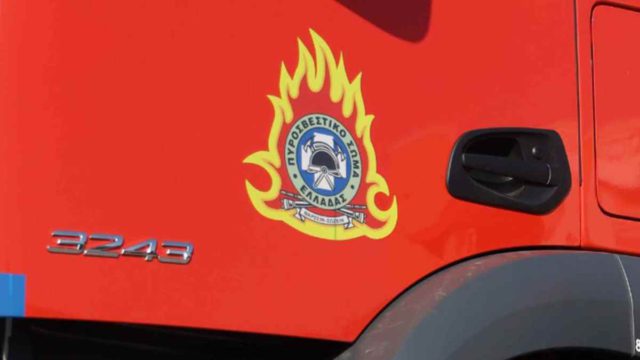 Συναγερμός στην Πυροσβεστική: Μεγάλη φωτιά σε δασική έκταση στη Βασιλίτσα Κόνιτσας