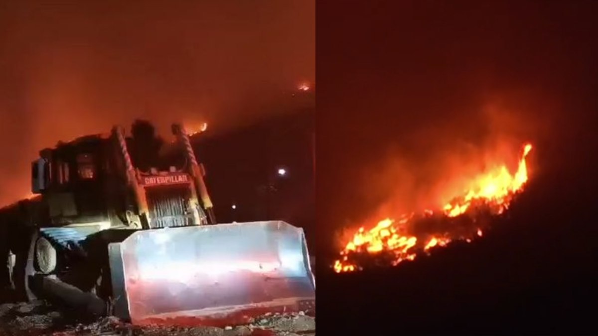 Ολονύχτια μάχη με τις φλόγες στη Βοιωτία: Εκκενώσεις σε Πόρτο Γερμενό, Μύτικα και Ψάθα