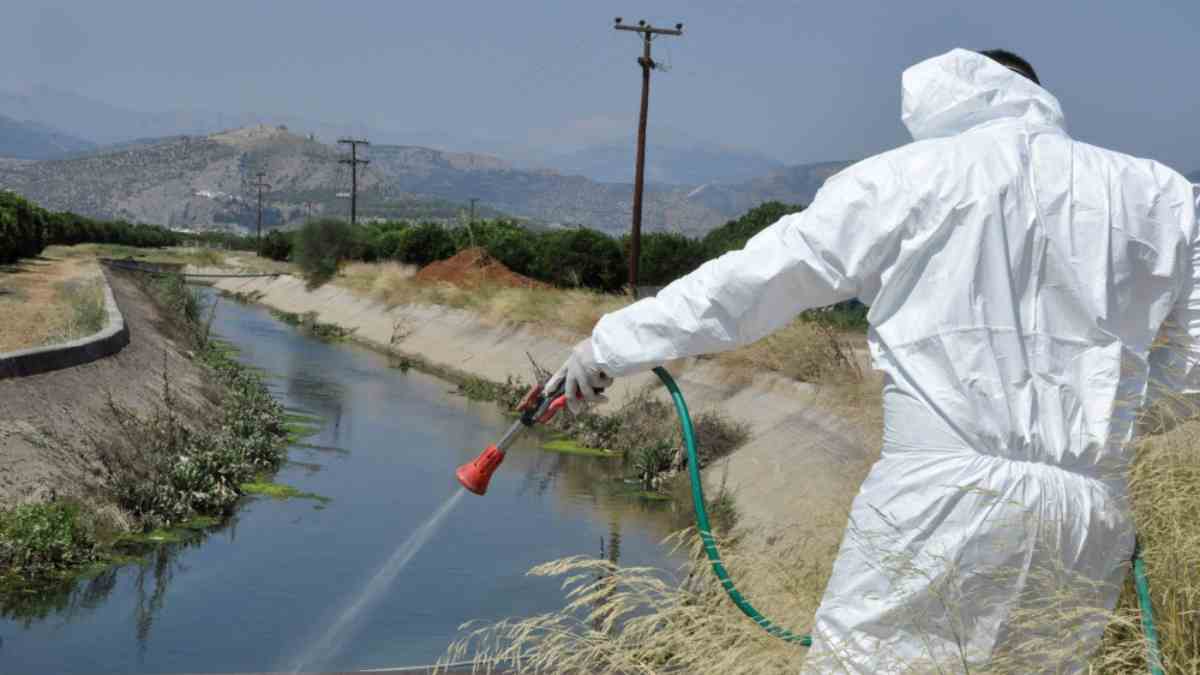 Έξαρση του ιού του Δυτικού Νείλου στην Ελλάδα: Στο «κόκκινο» η Ανατολική Αττική με αυξημένα κρούσματα και θανάτους