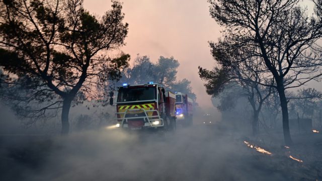 Φωτιά στη Βοιωτία: Συνελήφθη ο δήμαρχος – «Στη δικαιοσύνη δεν χωρούν Ιφιγένειες», λέει ο δικηγόρος του