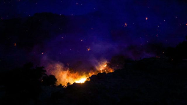 Ρέθυμνο: Τρεις νέες δράσεις στήριξης για τους πυρόπληκτους στον Δήμο Αγίου Βασιλείου
