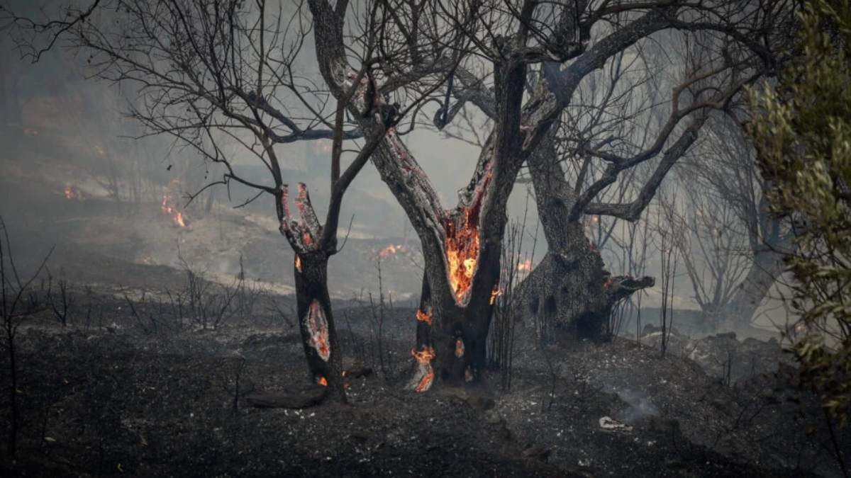 Ρέθυμνο: Σε πλήρη εξέλιξη οι καταγραφές των ζημιών από την πυρκαγιά στον Δήμο Αγίου Βασιλείου