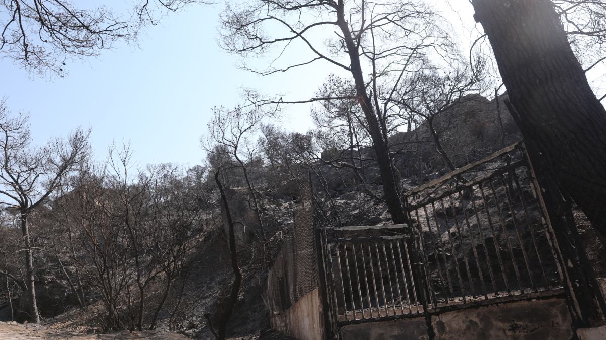 Σαλαμίνα: Αμέλεια ηλικιωμένης πίσω από τη φωτιά στα Περιστέρια – Καταγγελία για εμπρησμό στα Σελίνια