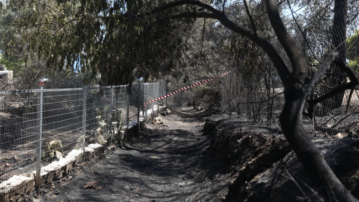 Ιατρικός Σύλλογος Πειραιά για πυρκαγιά στη Σαλαμίνα: «Στηρίζουμε πλήρως τους συναδέλφους μας»