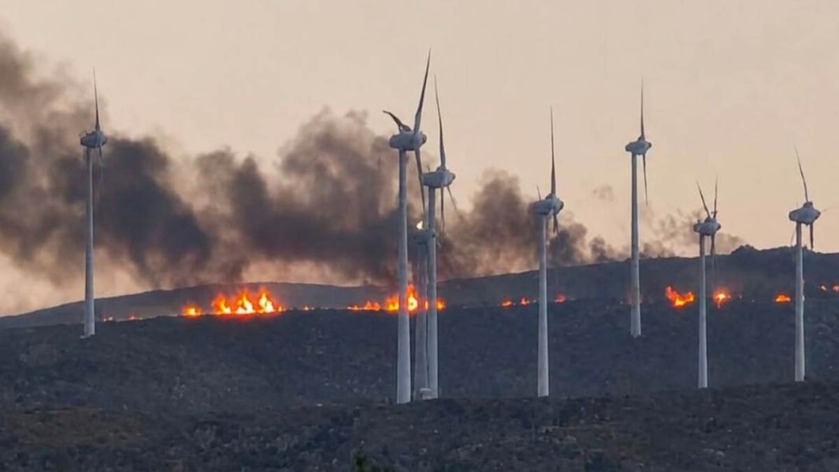 Πυρκαγιά σε εξέλιξη στην περιοχή Αχλαδιά στη Σητεία: Καίει κοντά σε ανεμογεννήτριες – Βίντεο