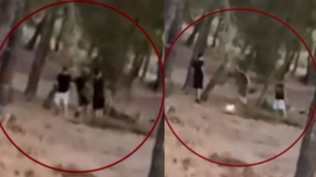Άνω Βριλήσσια: Σάλος με τους ανήλικους που ξεκινούν φωτιά στο πευκοδάσος -Την έσβησαν, τους αναζητά η Πυροσβεστική [βίντεο]