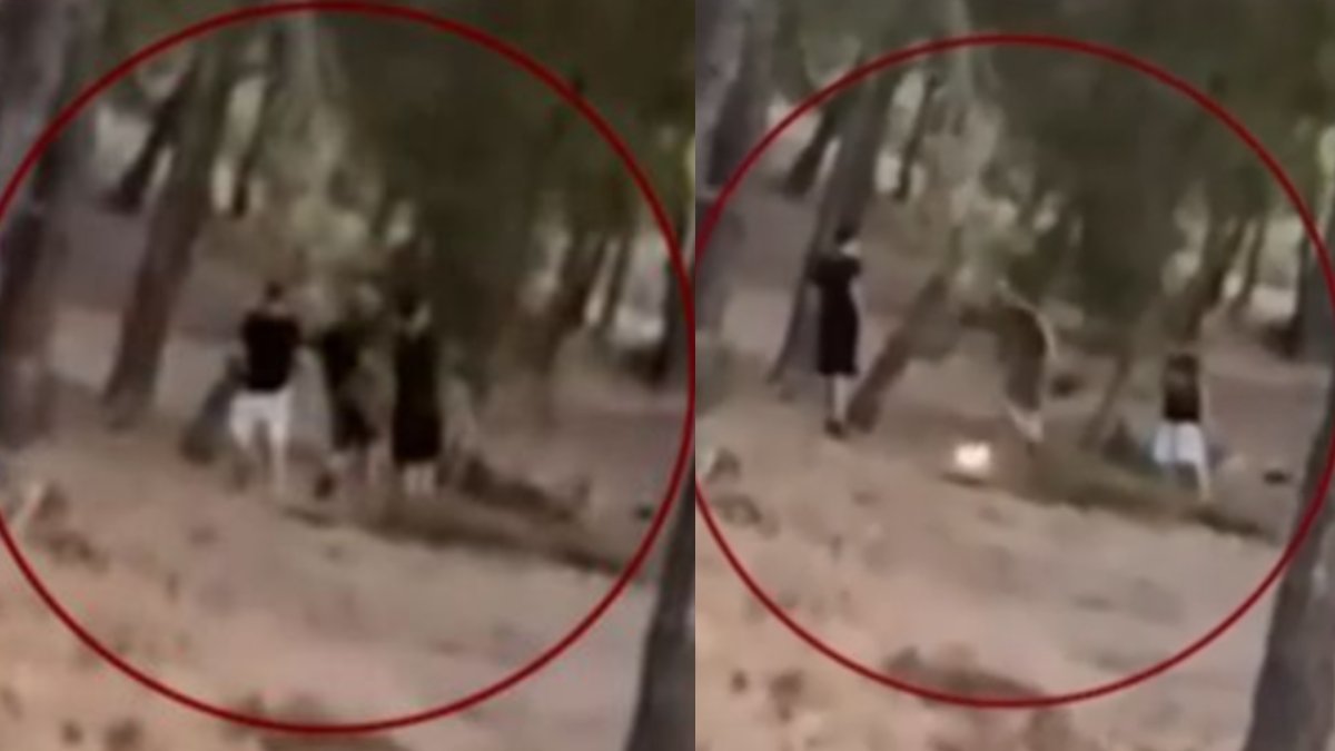 Άνω Βριλήσσια: Σάλος με τους ανήλικους που ξεκινούν φωτιά στο πευκοδάσος -Την έσβησαν, τους αναζητά η Πυροσβεστική [βίντεο]