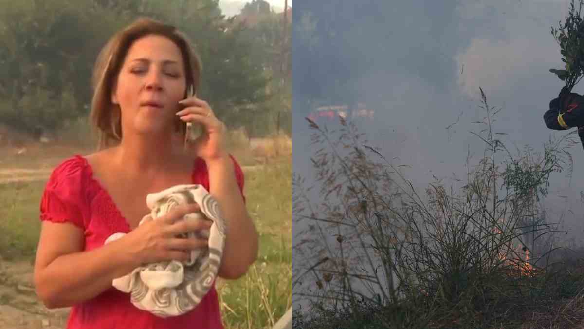 Χαλκιδική: Στα χέρια της ΕΛ.ΑΣ. δύο άνδρες για την επίθεση στο συνεργείο του MEGA – Ταυτοποιήθηκε και τρίτος