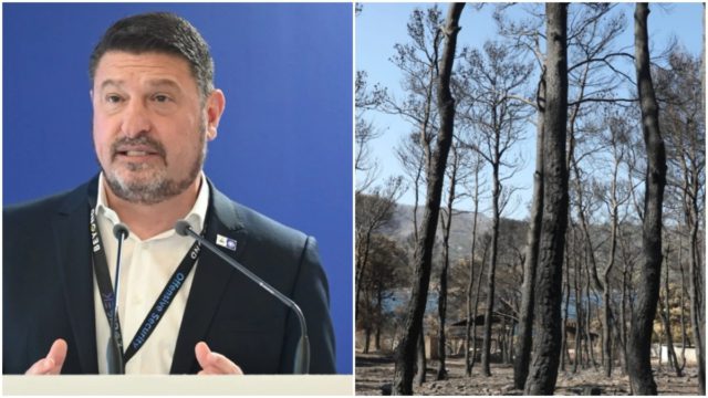 Χαρδαλιάς: «Μπλόκο» στις ανεμογεννήτριες στις καμένες περιοχές της Αττικής