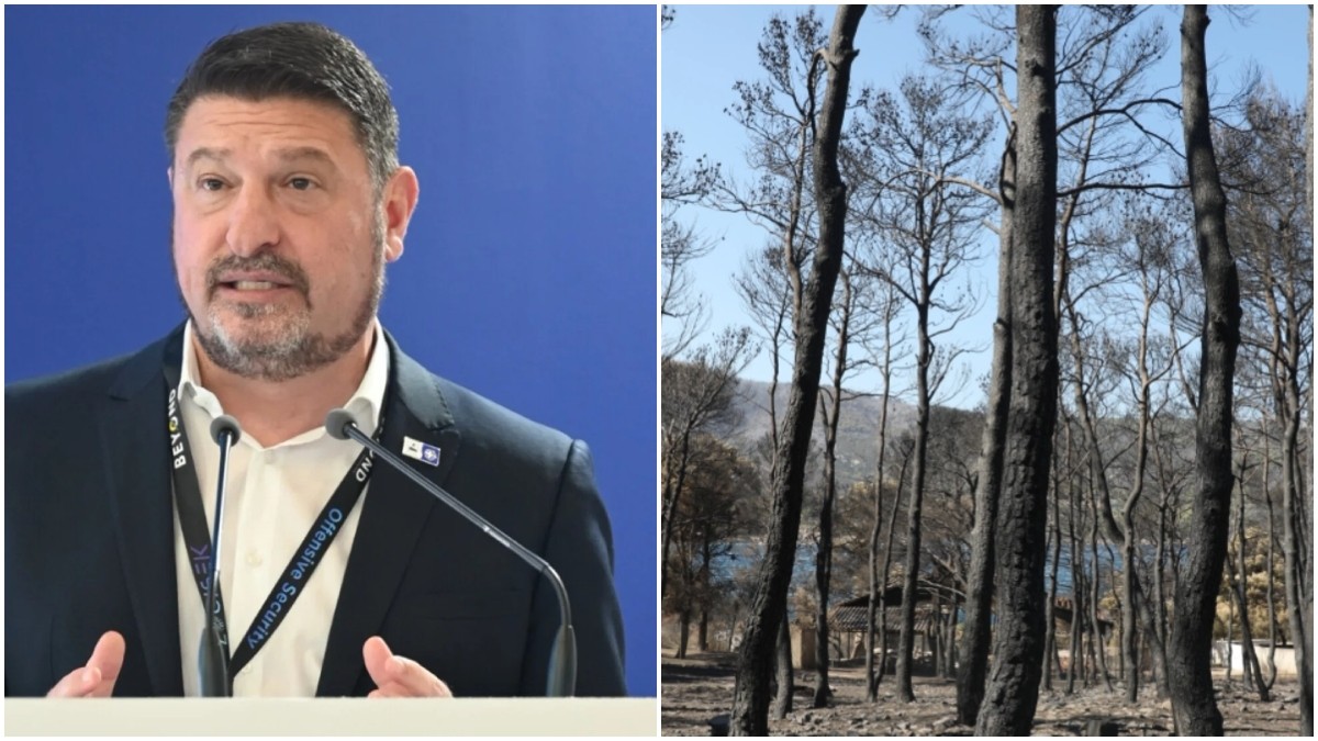 Χαρδαλιάς: «Μπλόκο» στις ανεμογεννήτριες στις καμένες περιοχές της Αττικής