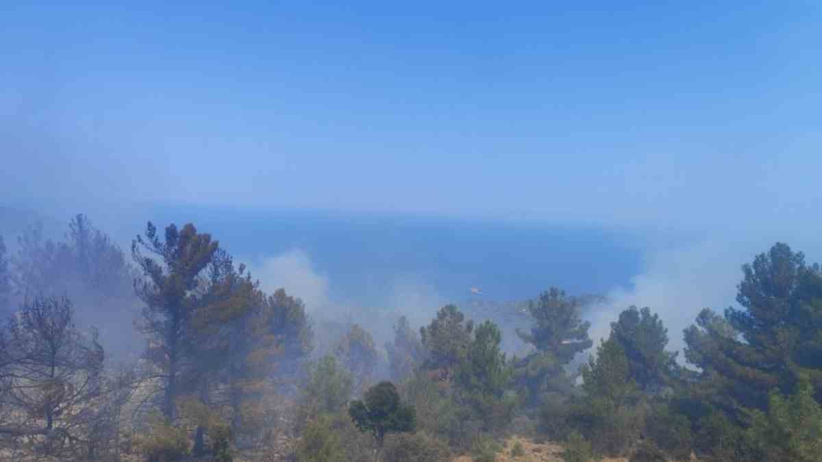 Χίος: Συνελήφθη άνδρας για τη φωτιά στο Βίκι – Υπό έλεγχο η πυρκαγιά