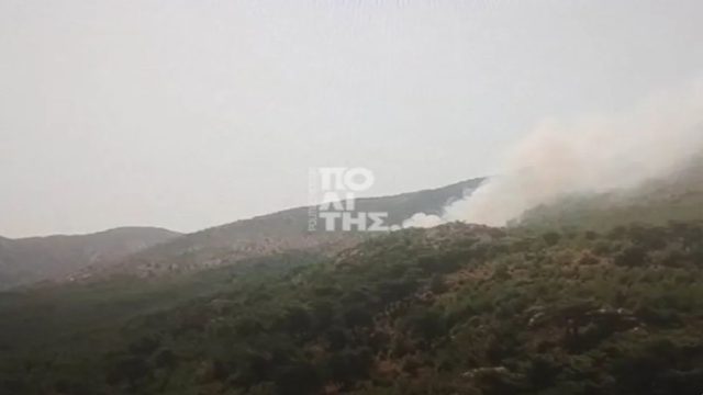 Φωτιά στη Χίο: Μεγάλη επιχείρηση στο Βίκι – Πέντε εναέρια μέσα στη μάχη με τις φλόγες