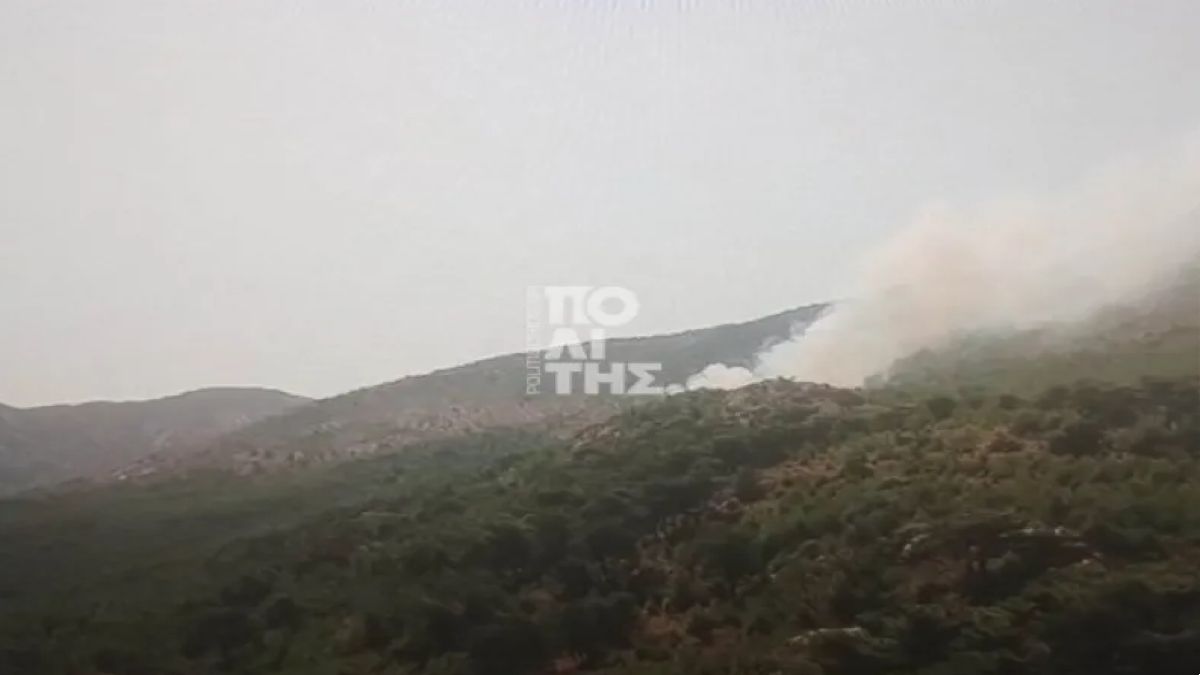 Φωτιά στη Χίο: Μεγάλη επιχείρηση στο Βίκι – Πέντε εναέρια μέσα στη μάχη με τις φλόγες
