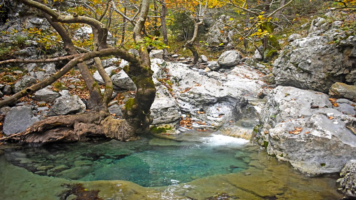 Μια ανάσα από τη Στενή: Το μαγευτικό φαράγγι της Αγάλης