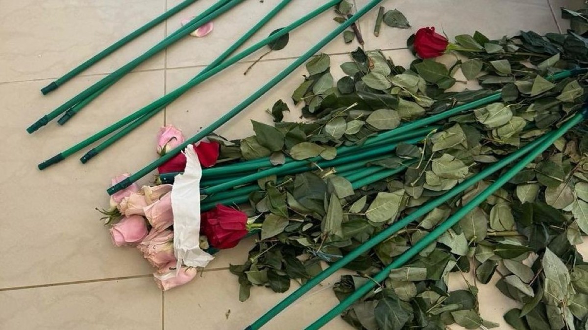 ΑΑΔΕ: 84 κιλά κοκαΐνης κρυμμένα σε τριαντάφυλλα με συλλήψεις σε Αρτέμιδα και Μαραθώνα