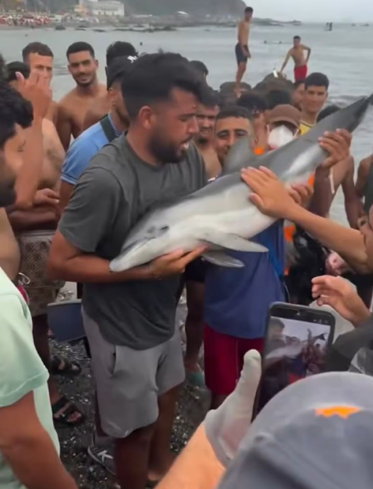 Μετανάστες στη Θέουτα και νεκρό δελφινάκι: Το βίντεο που άναψε φωτιές