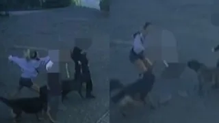 Εφιαλτική βόλτα με τον σκύλο της: Δέχθηκε γροθιές και φτύσιμο από 25χρονη