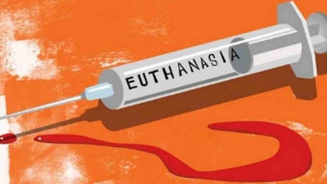 Ευθανασία: Ο παγκόσμιος χάρτης αλλάζει – Ποιες χώρες την επιτρέπουν και τι ισχύει στην Ελλάδα