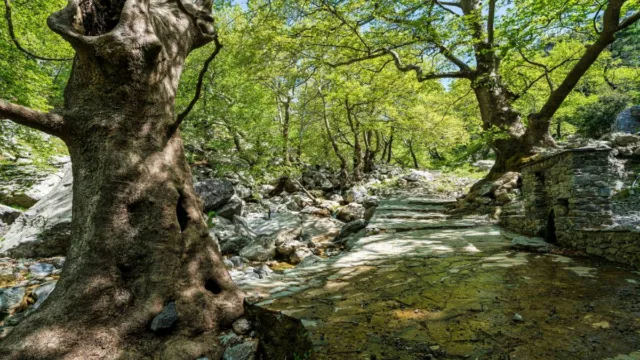 Μόλις 1 ώρα από την Αθήνα θα βρεις αυτό τον επίγειο παράδεισο