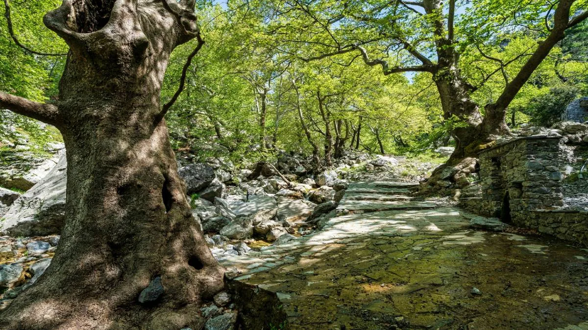 Μόλις 1 ώρα από την Αθήνα θα βρεις αυτό τον επίγειο παράδεισο