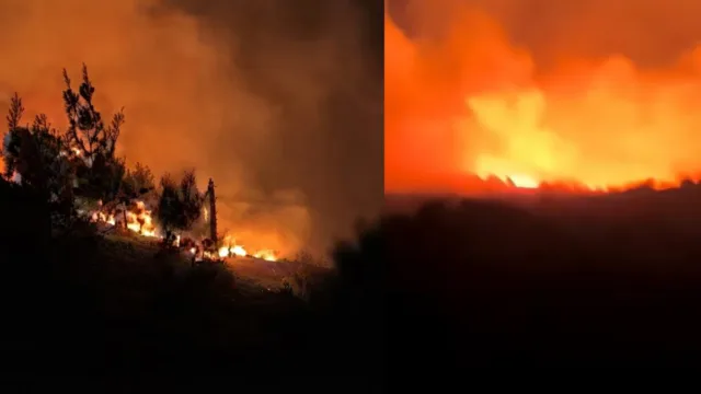 Εκτός ελέγχου πυρκαγιά στην Λέσβο: 25 πυροσβέστες στο σημείο – Πνέουν ισχυροί άνεμοι στην περιοχή, δείτε βίντεο