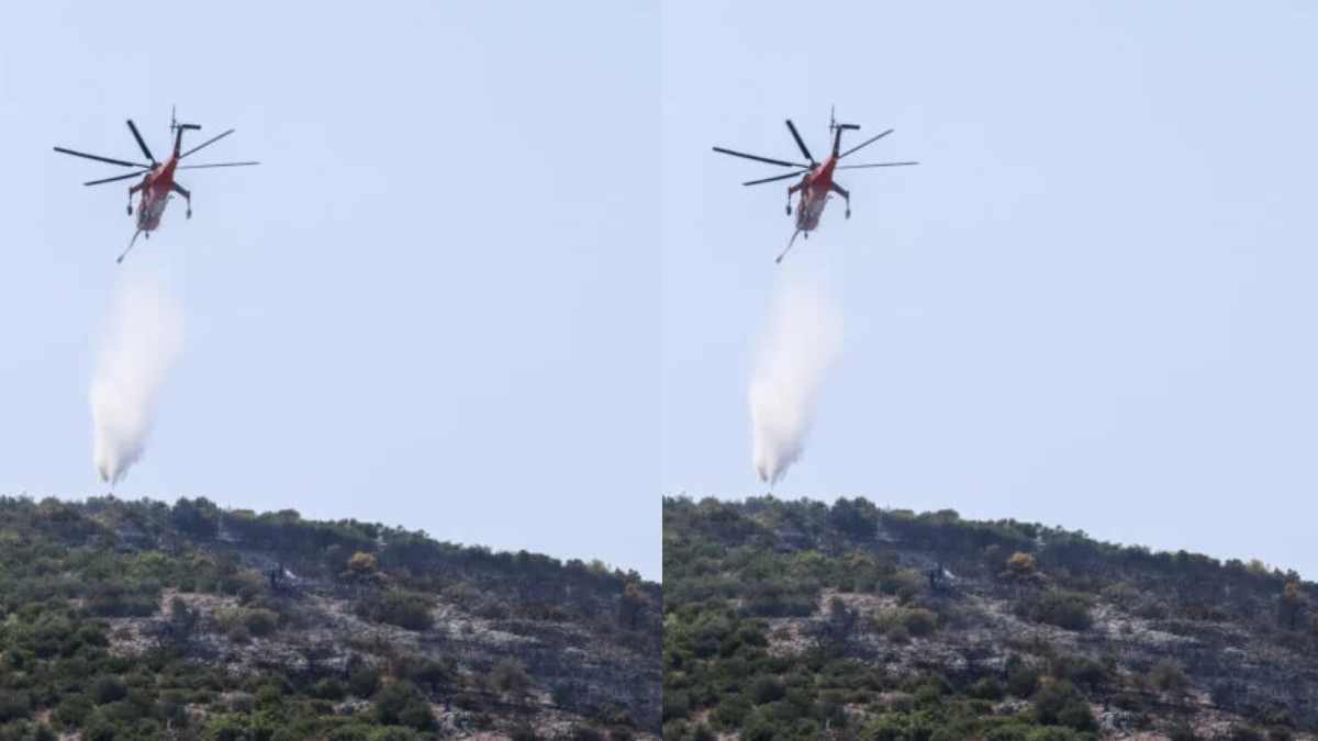 Συναγερμός στην Καβάλα: Φωτιά στο Ελαιοχώρι – Επιχειρούν εναέρια μέσα