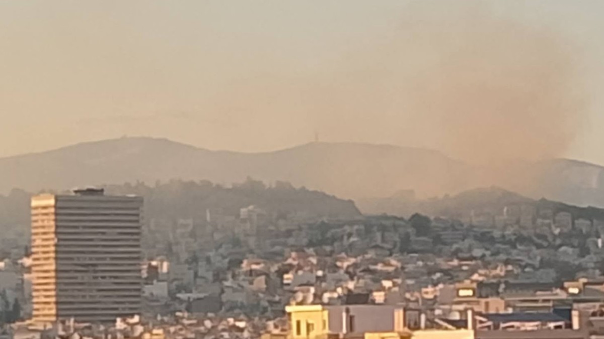 Φωτιά στα Τουρκοβούνια: Συνελήφθησαν τρεις ανήλικους – Τι συνέβη