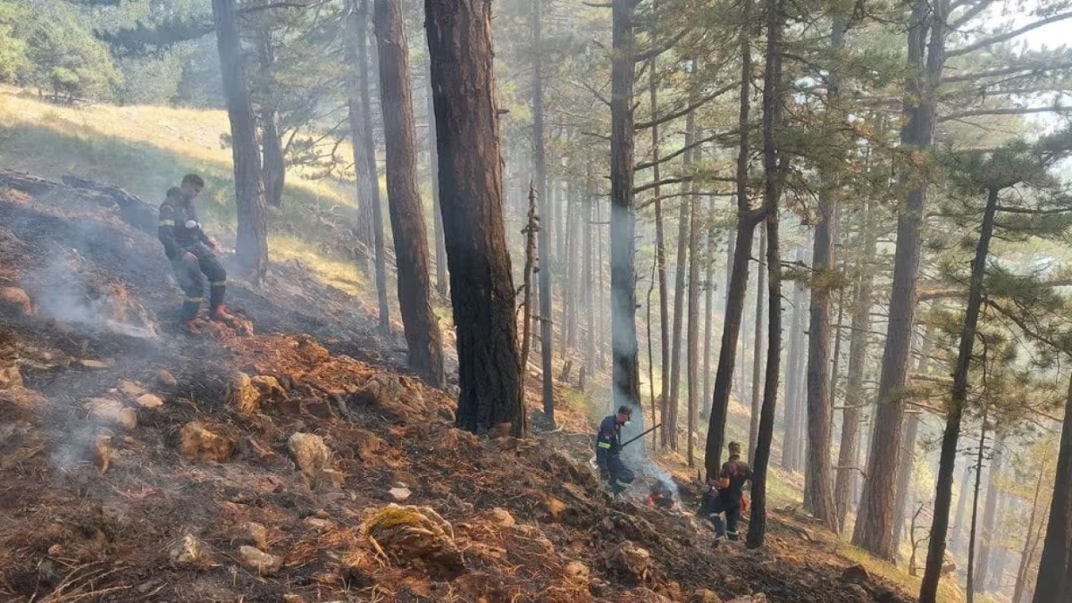 Κόνιτσα: Οι δασοκομάντος μπήκαν βαθιά στο δάσος για να αναχαιτίσουν τη φωτιά