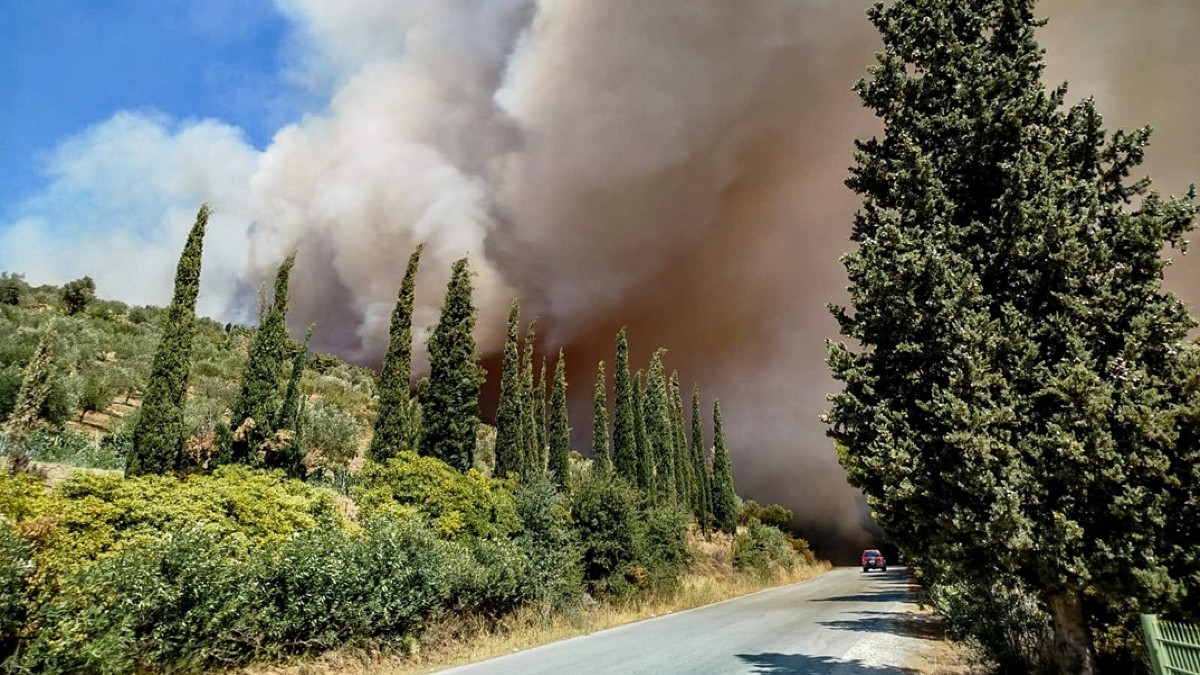 Φωτιά στην Εύβοια: Μεγάλη κινητοποίηση της Πυροσβεστικής