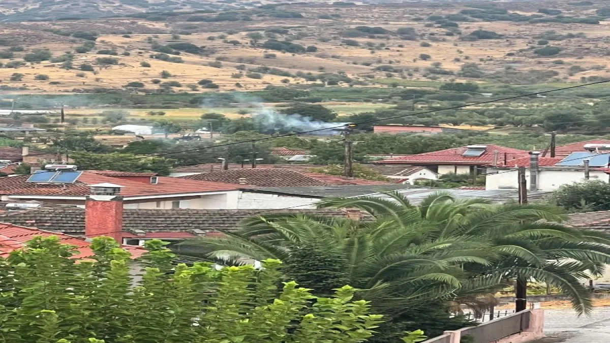 Συναγερμός στον Πλάτανο: Κεραυνός χτύπησε φωλιά πελαργών