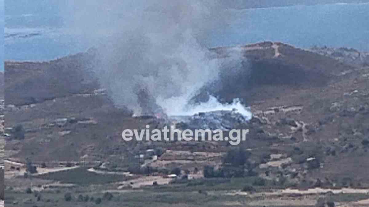 Πυρκαγιά στην Κάρυστο: Επιχειρούν ισχυρές επίγειες και εναέριες δυνάμεις – Μήνυμα από το 112