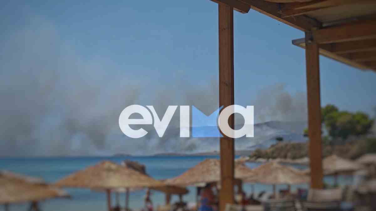 Φωτιά στην Κάρυστο: Μπαράζ μηνυμάτων από το 112 – Ενισχύθηκαν οι πυροσβεστικές δυνάμεις