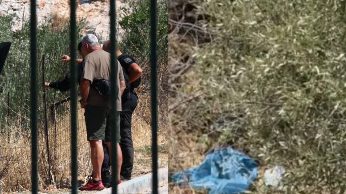 Θρίλερ με τα οστά στην Κυψέλη: Μπορεί να ανήκουν σε παραπάνω από μια σορούς – Καταιγιστικές εξελίξεις [βίντεο]