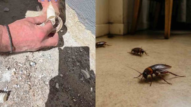 Γεμίζει με κατσαρίδες και έντομα το σπίτι σου; Το μεγάλο λάθος που κάνεις με το κλιματιστικό και δεν το γνωρίζεις